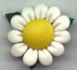 Daisy Pin