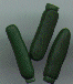 Zucchini