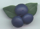 Blueberry Plant Hook