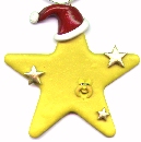 Christmas Star Pin or Ornament