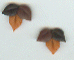Tiny Fall Leaf Earrings
